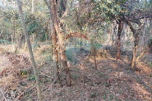 6 terrenos juntos en altos — foto 3