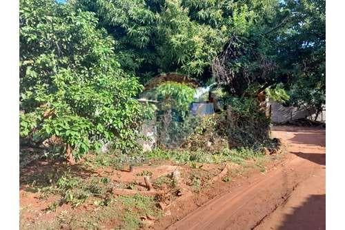 Terreno sobre av 11 de setiembre - Ñemby — foto 3