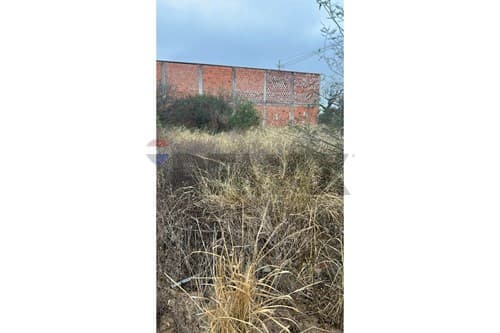 Terreno Comercial en Filadelfia, foto 3