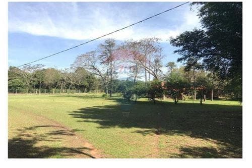 EN VENTA 73.000 m2 en Luque. Yukyry — foto 5