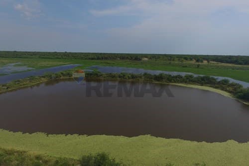 Excelente oportunidad Campo virgen Chaco Paraguayo — foto 5
