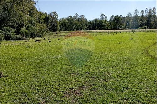 Bello, tranquilo y amplio TERRENO - VENTA — foto 3