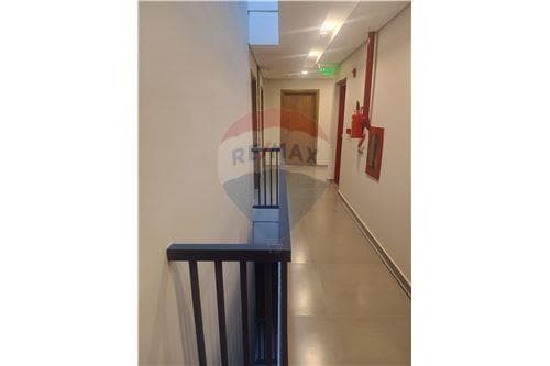 Dpto de 1 dorm - fdo.zona norte, foto 3