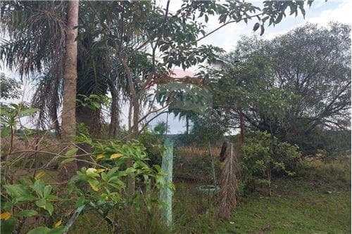 Casa a 5 minutos de la playa villa florida — foto principal