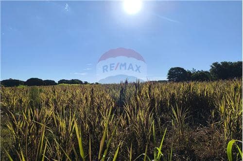 Propiedad en Venta en Carmen del Parana — foto 2