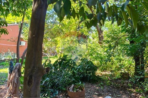 ¡Terreno en Lambaré: Inversión Ideal! — foto 5