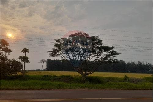 Terreno para inversion en venta - la paz - itapua — foto 5