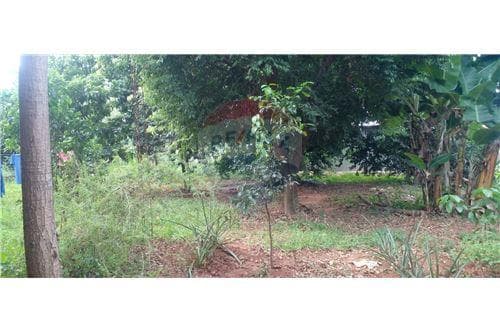 De 2 terrenos juntos a sólo 40 mts.de ruta 1 — foto 3