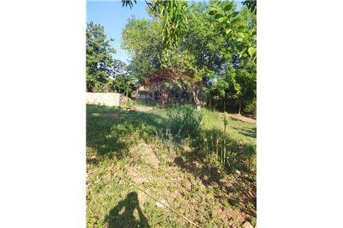 Hermoso Terreno en Julian Augusto Saldivar — foto 4