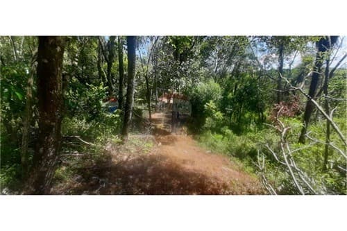 En venta 8 has en Altos, foto 3