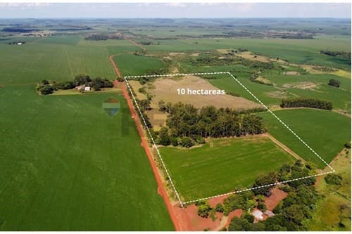 10 hectareas en venta — foto 2