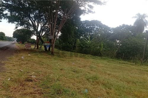 Terreno de 4 ha en guayaibi - san pedro, foto 2