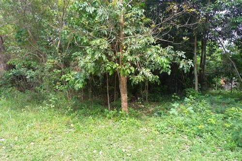 Terreno en venta - piribebuy — foto 2