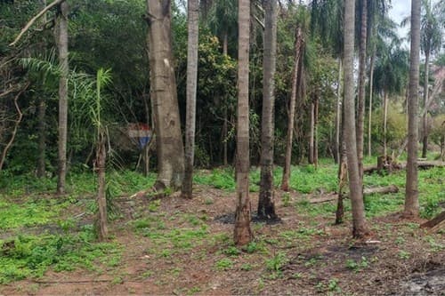 Terreno en venta – cabañas, caacupé, foto 1