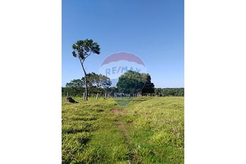 Vendo estancia en canindeyu