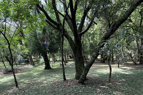 "Serene 3BR Country Home with Pool in Itauguá" — foto 3