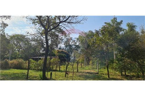 Hermosa propiedad 2,5 Hectareas en Loma Grande — foto 2