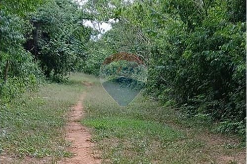 En venta Terreno 9.7 Ha. en TOBATI — foto 2