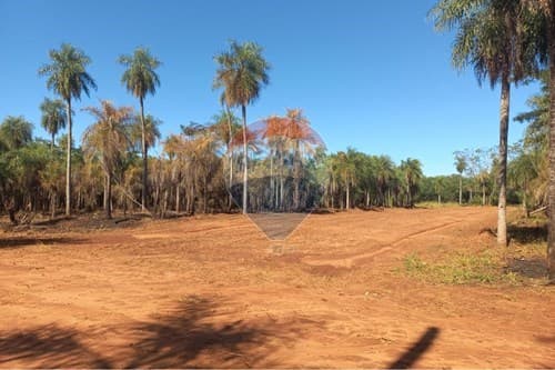 Terreno en Itauguá: 19,000 m² para Inversiones — foto 4