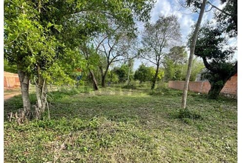 De terreno en limpio – zona don bosco — foto 2