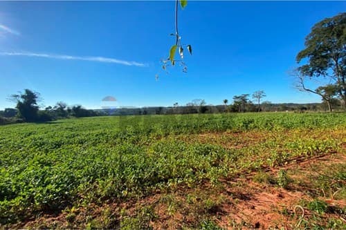 Reserva urbana de 10,7 hectáreas, foto 2