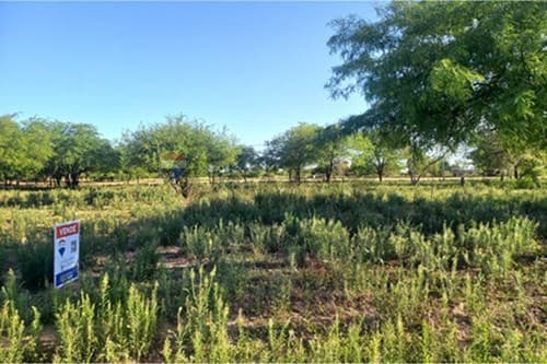 Terreno en Terreno Residencial, Loma Plata