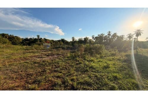 Terreno en oferta - piribebuy