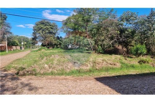 Terreno en limpio – isla aveiro — foto 2