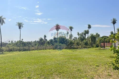 Tres Terrenos con Arroyo en Ypacaraí — foto 5