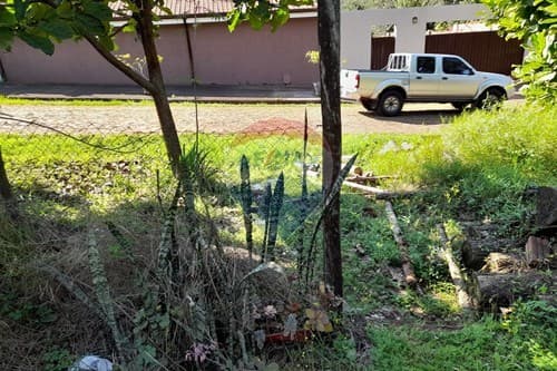 Terreno en zona residencial — foto 5