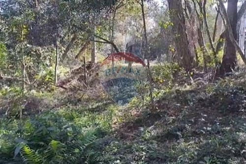 De terreno en pirayú costa hu — foto 3