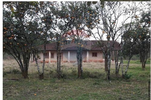 En venta/ 20 hectareas sobre ruta — foto 3