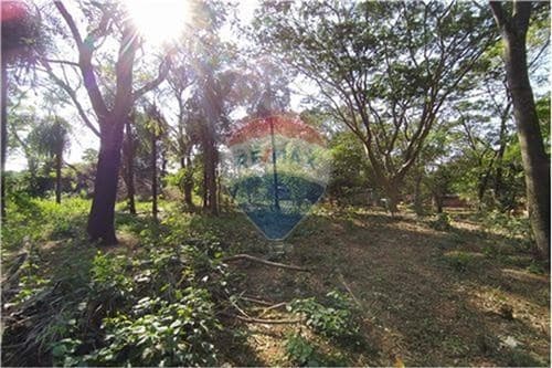 Importante terreno en venta — foto 3