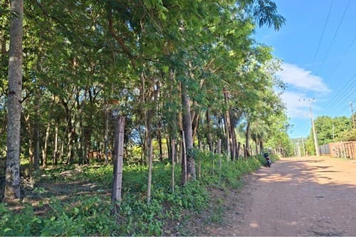 Terreno en San Bernardino, ¡Inversión Ideal! — foto 2