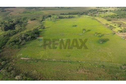 ✨ Estancia Ramonita de 368 hás. en Ybycuí ✨ — foto 3