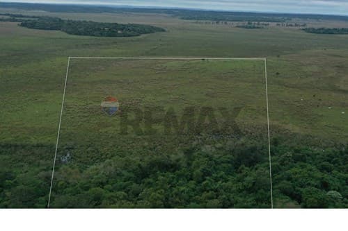 Terreno de 7.3 Ha sobre Asfalto — foto 2