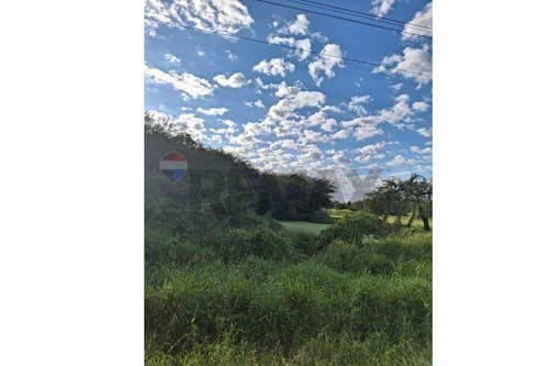 Terreno en Terreno Comercial, Loma Plata — foto 3