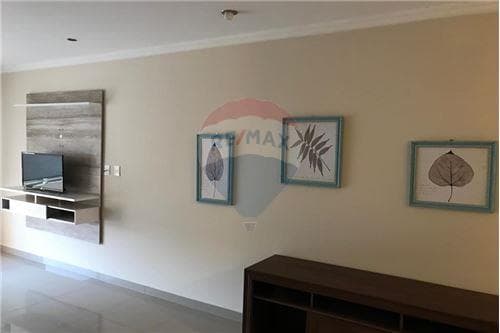 Departamento amoblado en venta zona Molas Lopez — foto 3