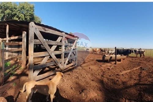 - terreno-hernandarias-paraguay — foto 2