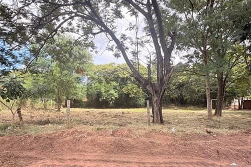 Terreno Limite Campo Grande — foto 2