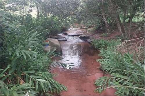 Terreno en piribebuy-chololo — foto 4