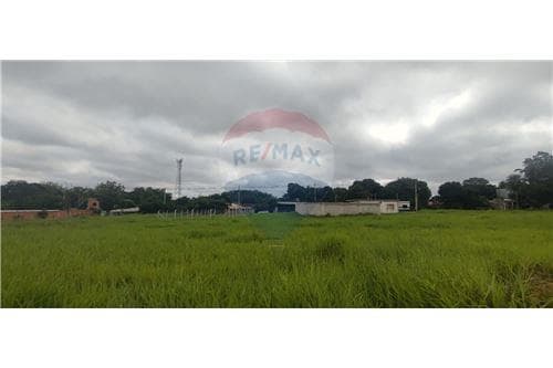 En venta terreno en nuevo fraccionamiento- Luque — foto 5