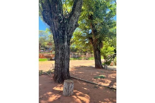 Terreno en venta -pa´i ñu — foto 5