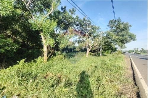Terreno Sobre Acceso Sur — foto 5