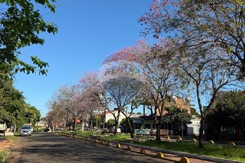 Terreno con salon comercial en frente...! — foto 5