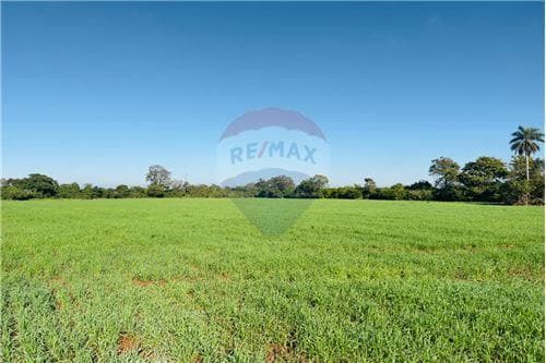 Terreno en venta - compañía san blas independencia — foto 5