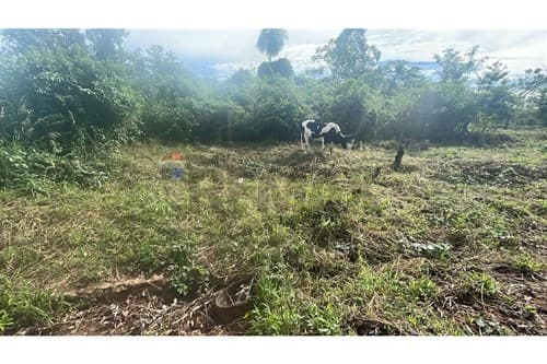 En venta 5ha - terreno en caaguazú — foto 2