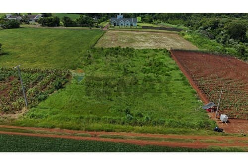 Terreno en el Centro de Naranjal, Alto Paraná — foto 5