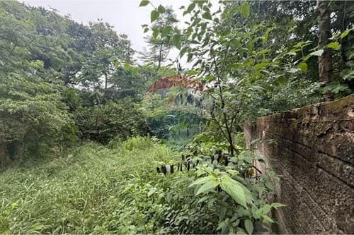 Terreno en caacupe — foto 4