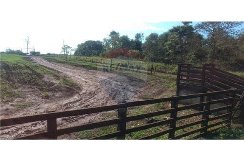 de Inmueble 29 Has. Minga Guazu - Monday — foto 2